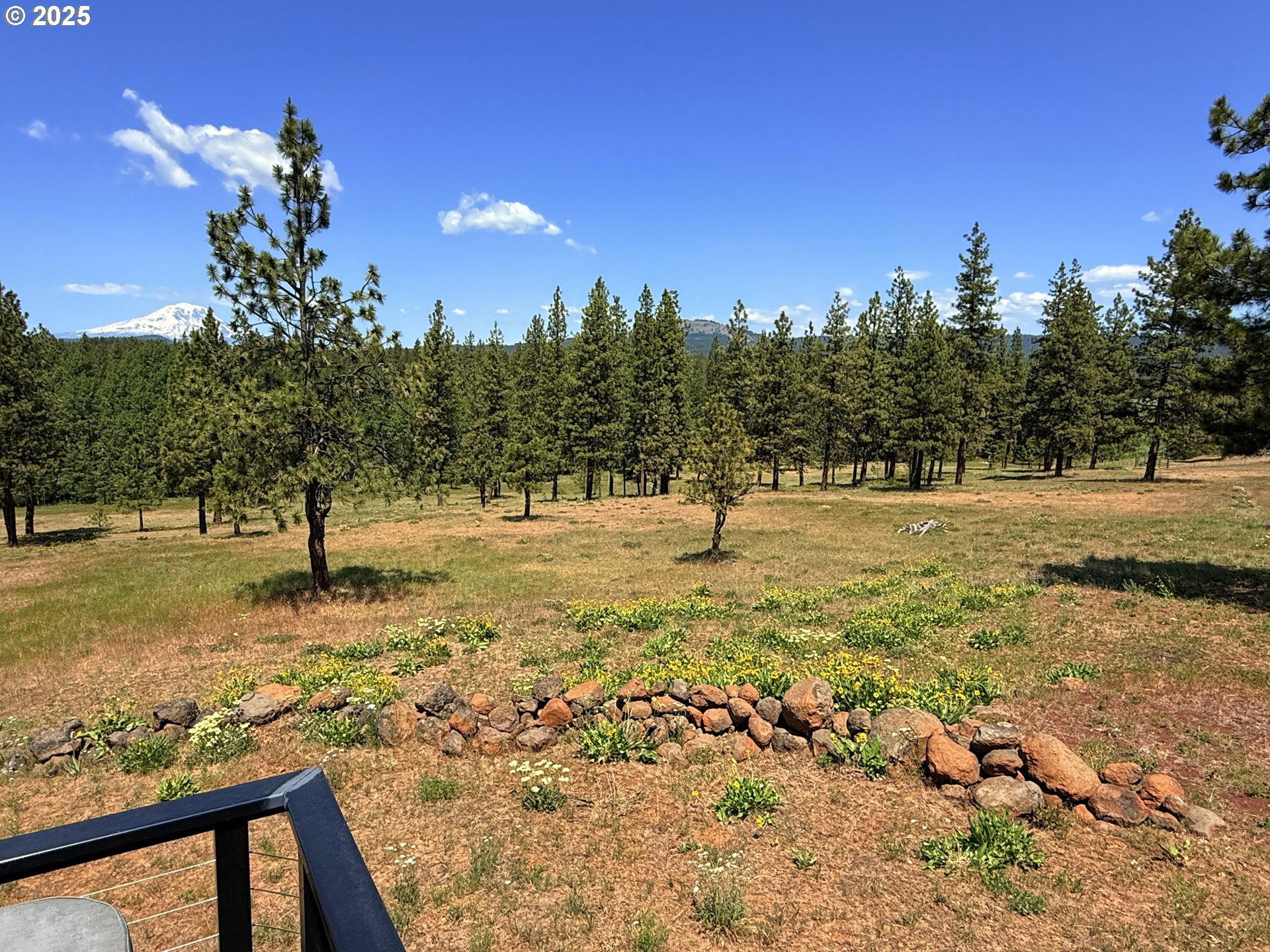 12 Keystone Drive Goldendale, WA 98620 - Photo 11 of 48 a view of a yard with a tree