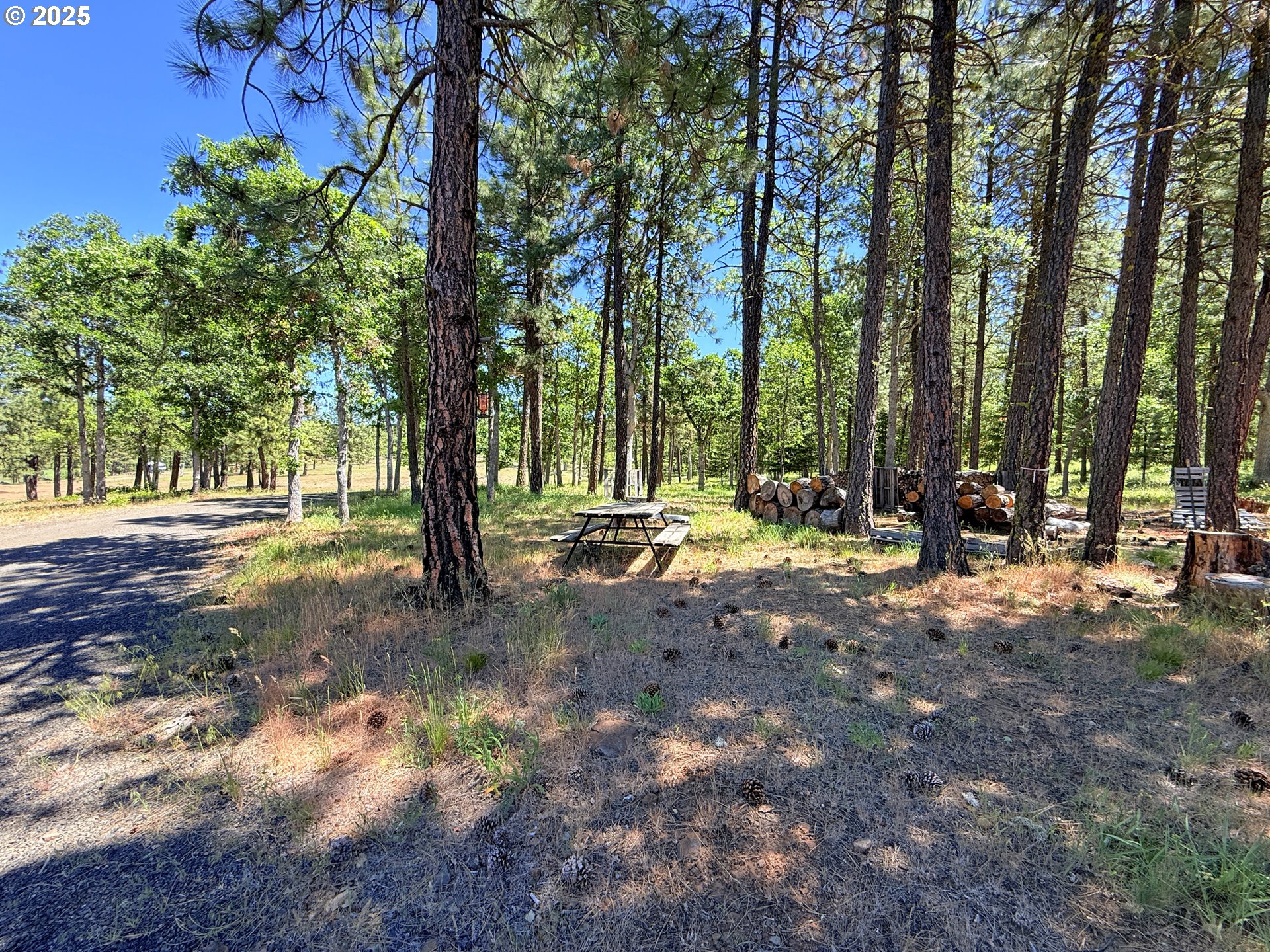 12 Keystone Drive Goldendale, WA 98620 - Photo 45 of 48 a view of outdoor space with trees
