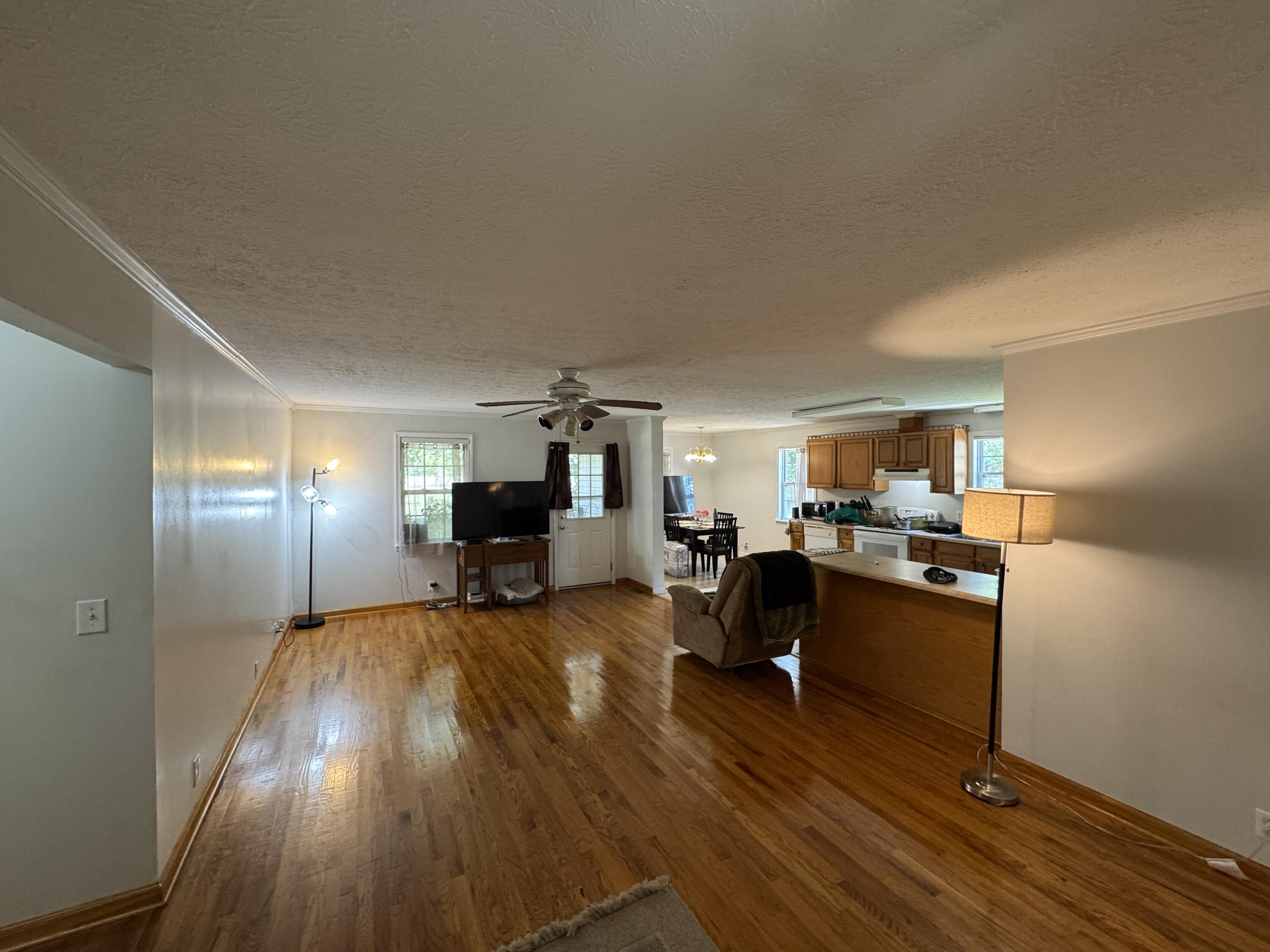 389 Skyland Farm Road Williston, SC 29853 - Photo 6 of 25