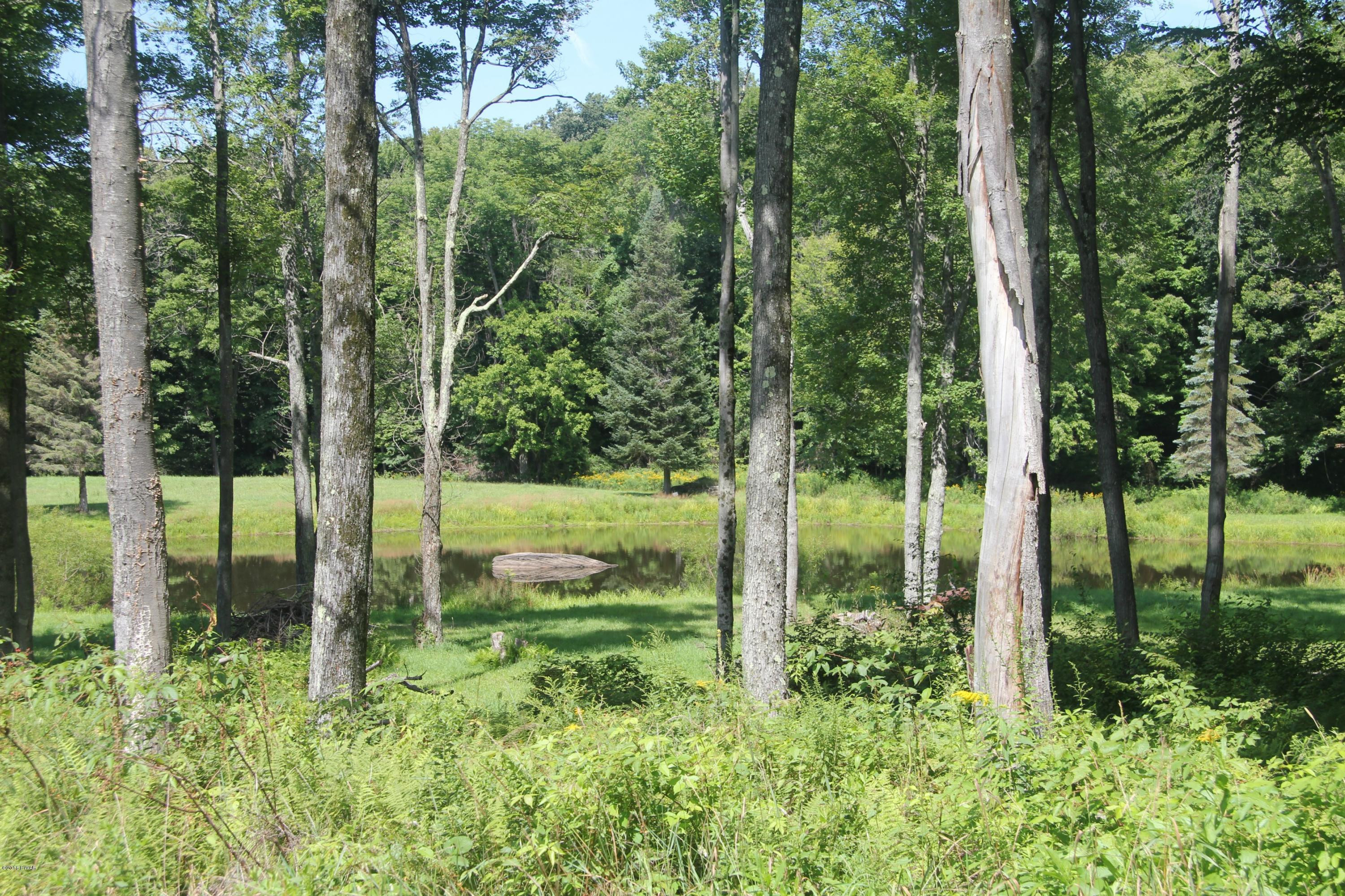 251 Prompton Road Honesdale, PA 18431 - Photo 11 of 31 Pond