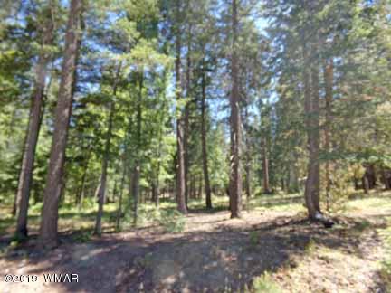 Lot 65 County Road Alpine, AZ 85920 - Photo 1 of 15