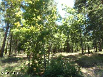 Lot 65 County Road Alpine, AZ 85920 - Photo 13 of 15