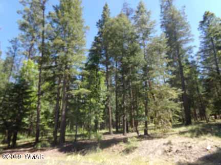 Lot 65 County Road Alpine, AZ 85920 - Photo 14 of 15