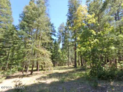 Lot 65 County Road Alpine, AZ 85920 - Photo 2 of 15