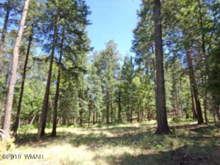Lot 65 County Road Alpine, AZ 85920 - Photo 3 of 15
