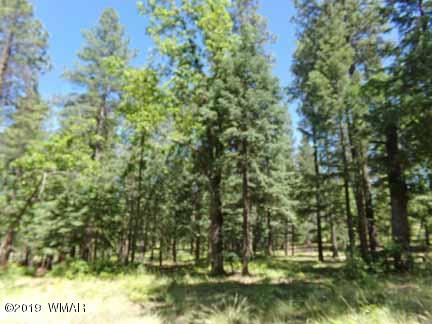 Lot 65 County Road Alpine, AZ 85920 - Photo 4 of 15