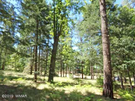 Lot 65 County Road Alpine, AZ 85920 - Photo 5 of 15