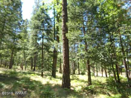 Lot 65 County Road Alpine, AZ 85920 - Photo 7 of 15