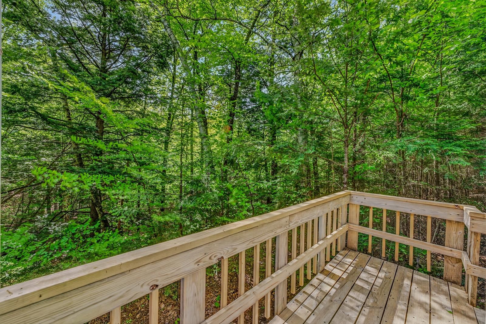 146 Bell Valley Road Campton, NH 03223 - Photo 23 of 47