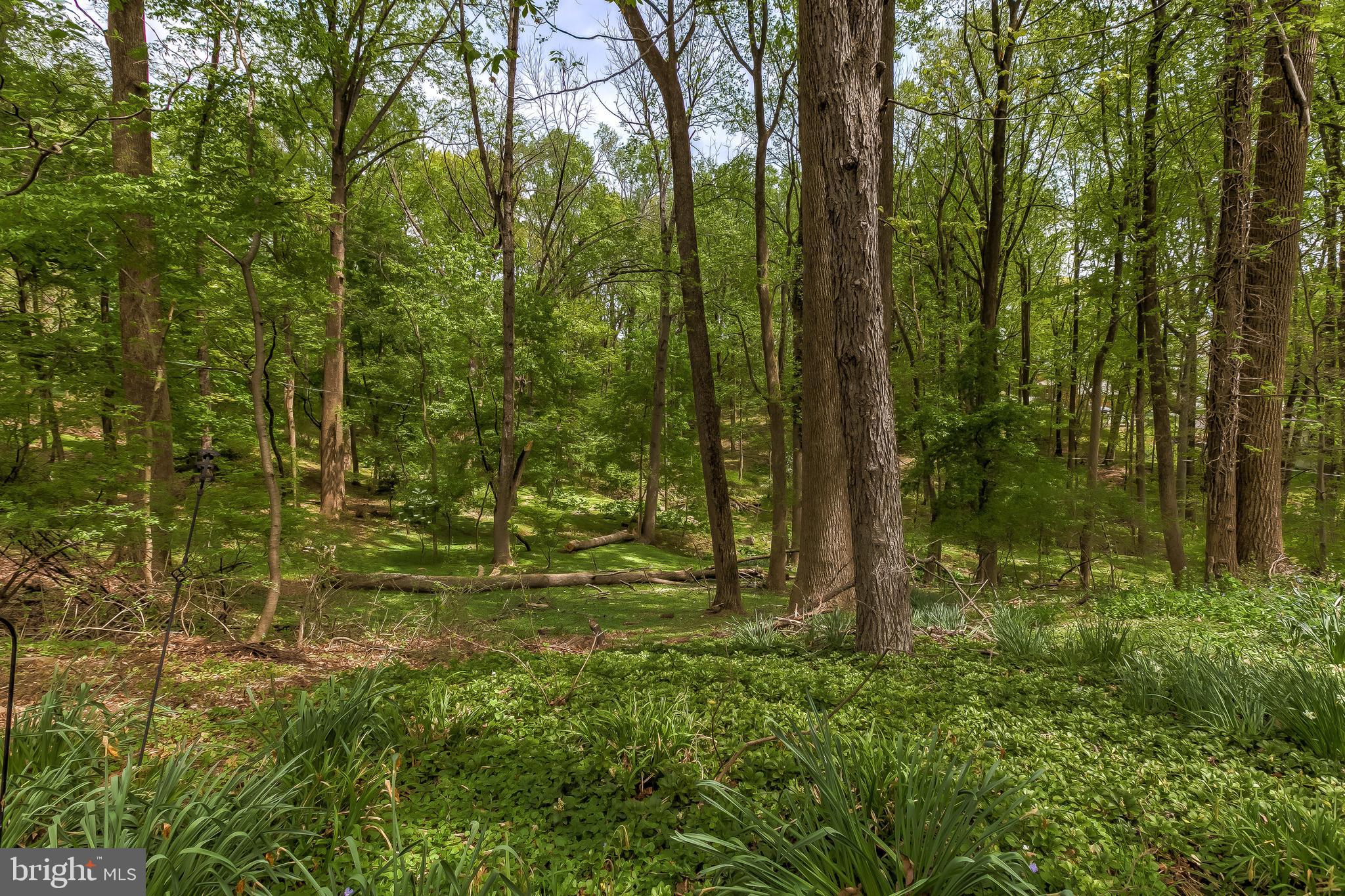 2211 Midridge Road Lutherville-Timonium, MD 21093 - Photo 56 of 57