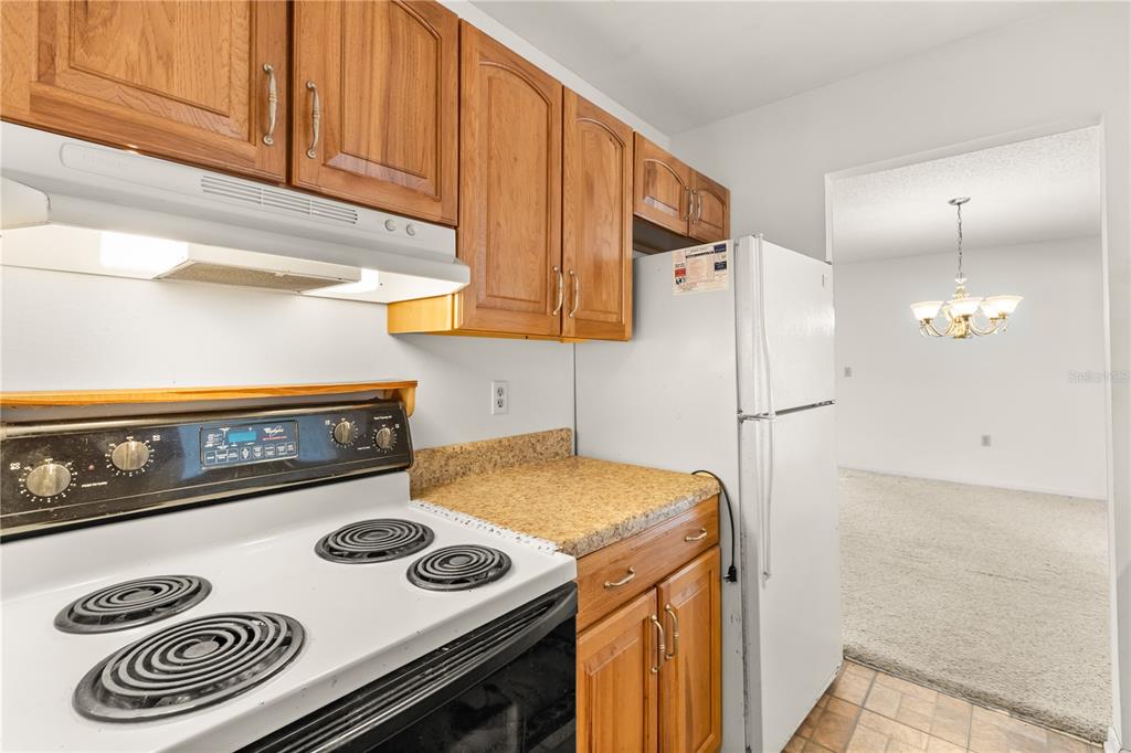 15218 Southwest 43rd Terrace Road Ocala, FL 34473 - Photo 15 of 30 a kitchen with a stove and a refrigerator