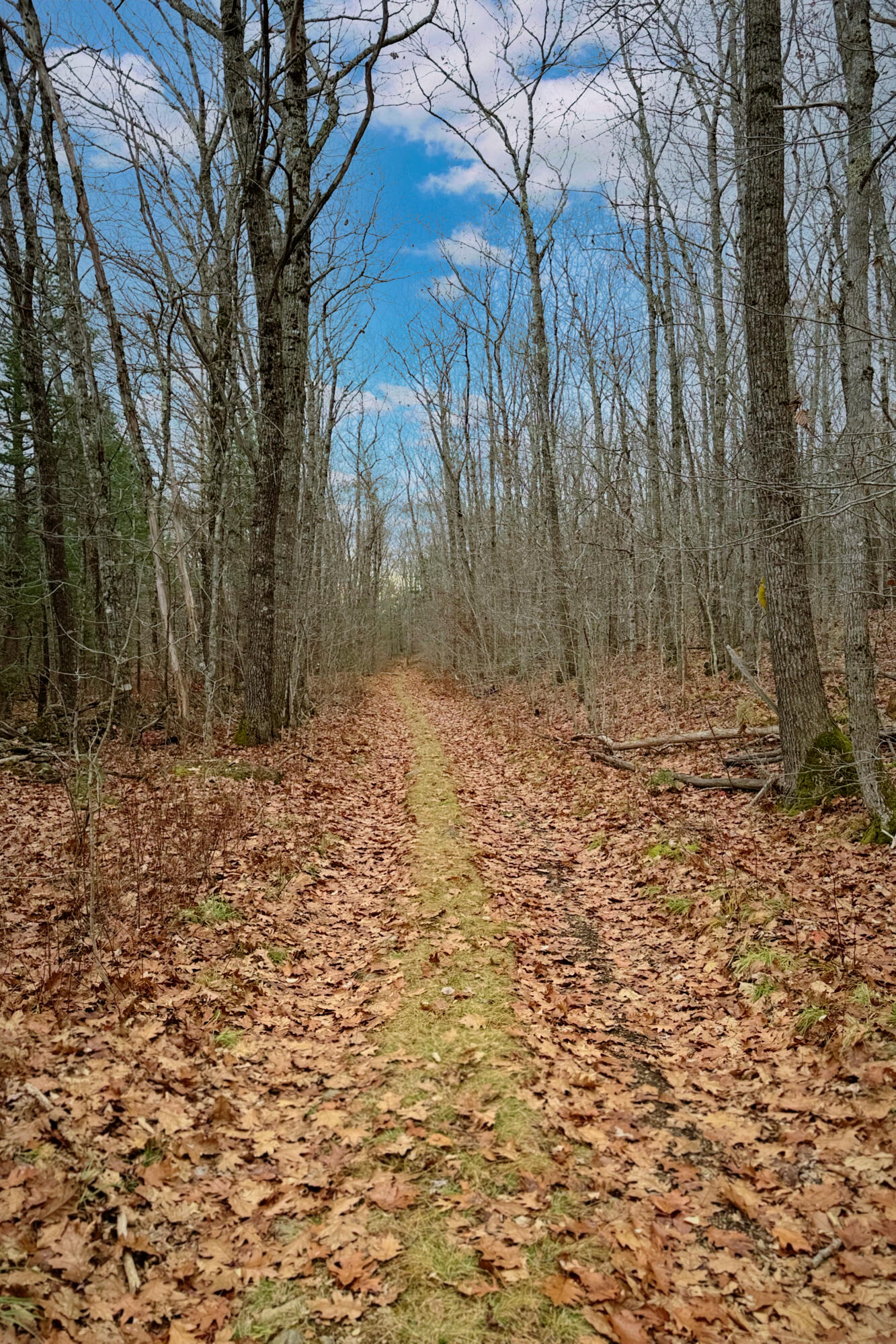 Lot 151 Dunbar Road Thomaston, ME 04861 - Photo 8 of 9 Access Road, property on the rightg