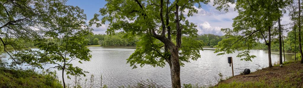 9324 Comanche Road Columbus, GA 31904 - Photo 35 of 53 lake views