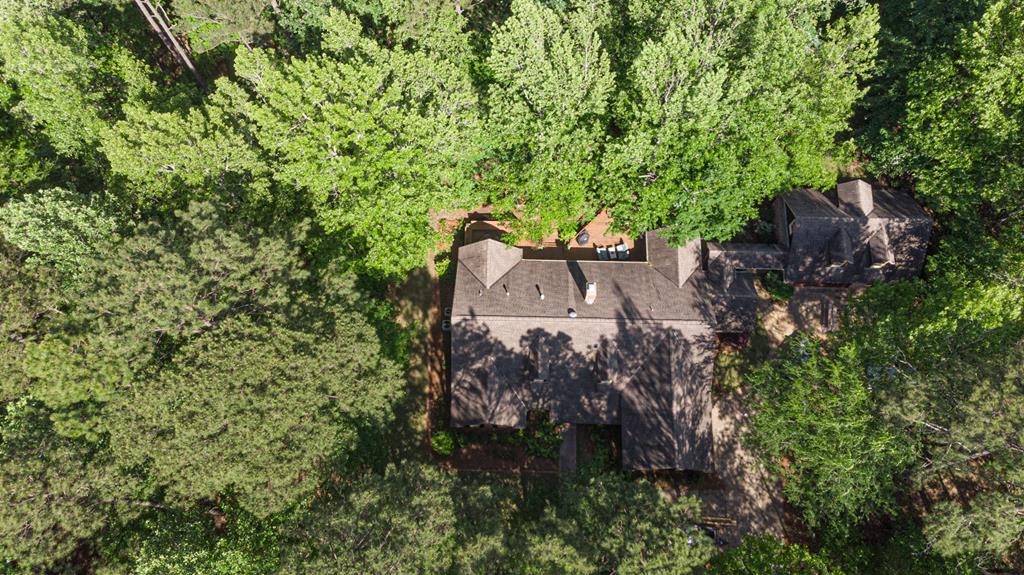 9324 Comanche Road Columbus, GA 31904 - Photo 43 of 53 aeriel view