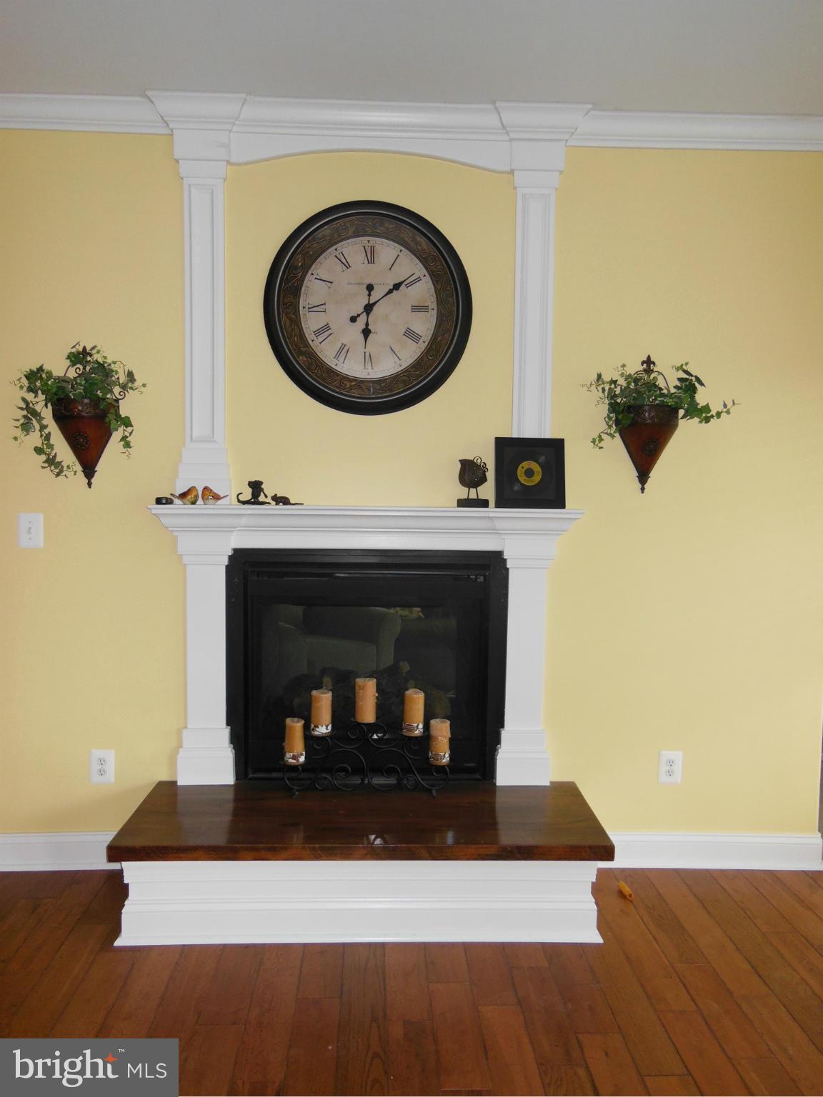 10366 Green Road Bealeton, VA 22712 - Photo 12 of 29 Enjoy the two sided gas fireplace