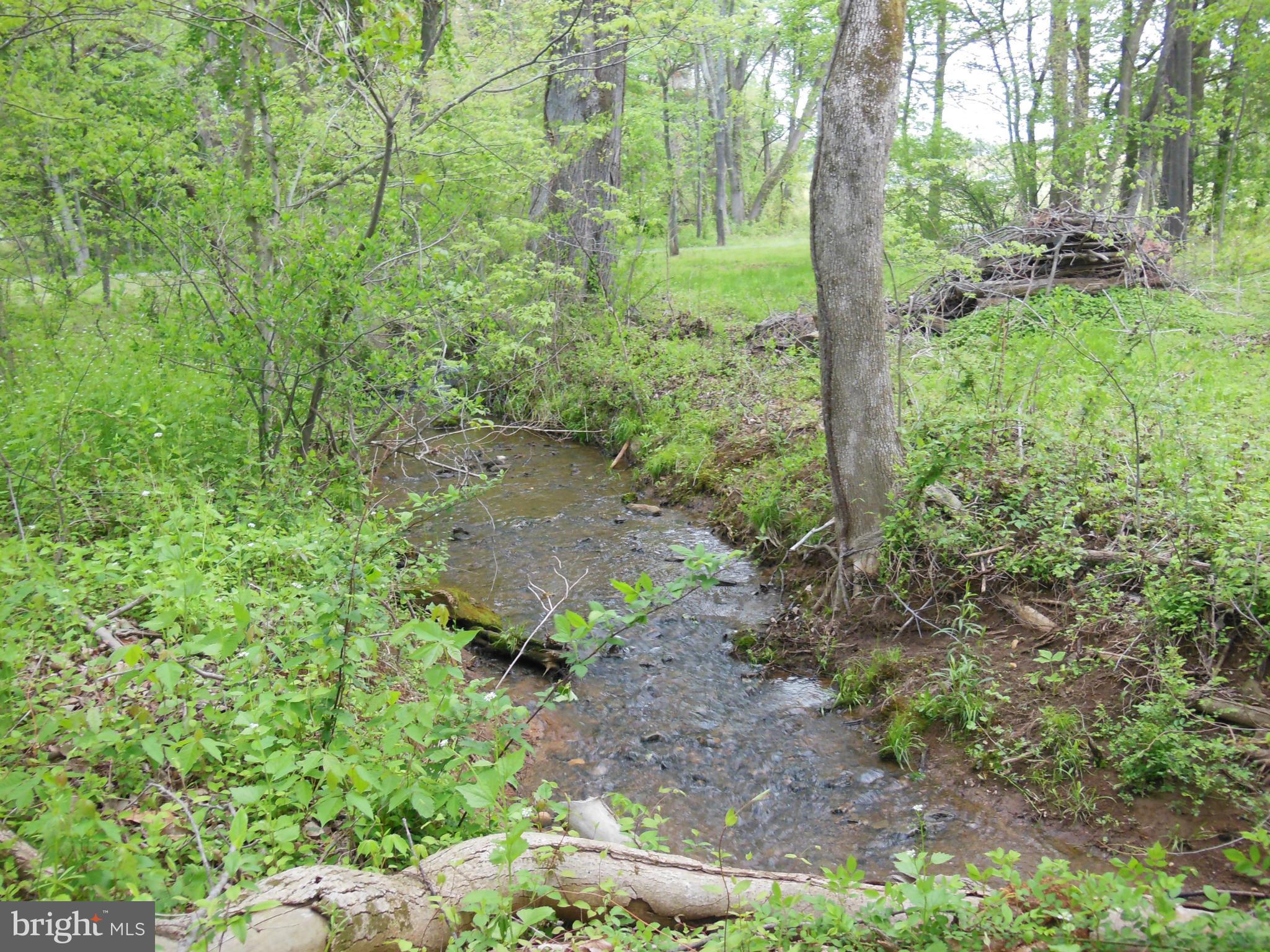 10366 Green Road Bealeton, VA 22712 - Photo 25 of 29 Creek