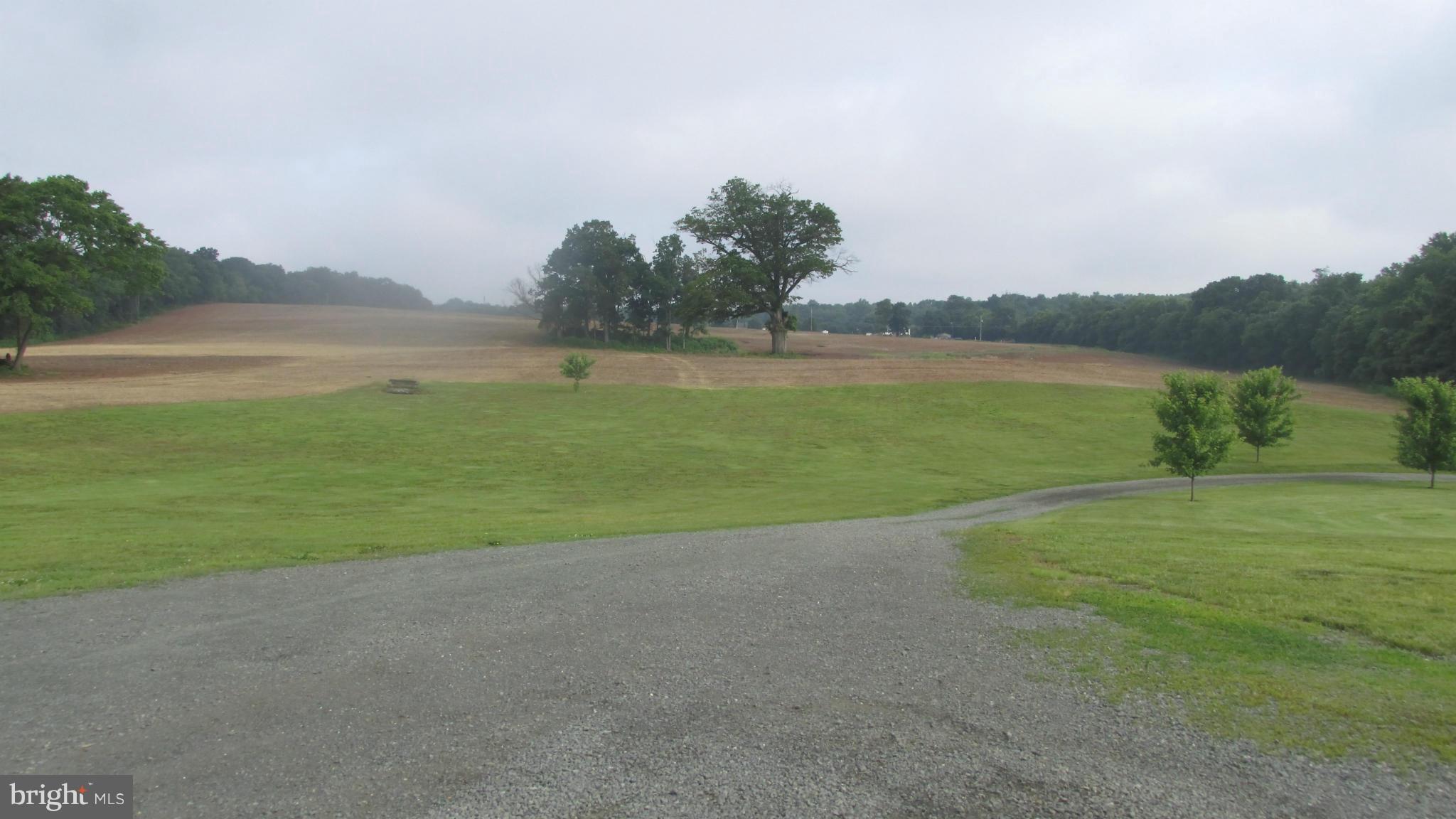 10366 Green Road Bealeton, VA 22712 - Photo 26 of 29 Pastoral views