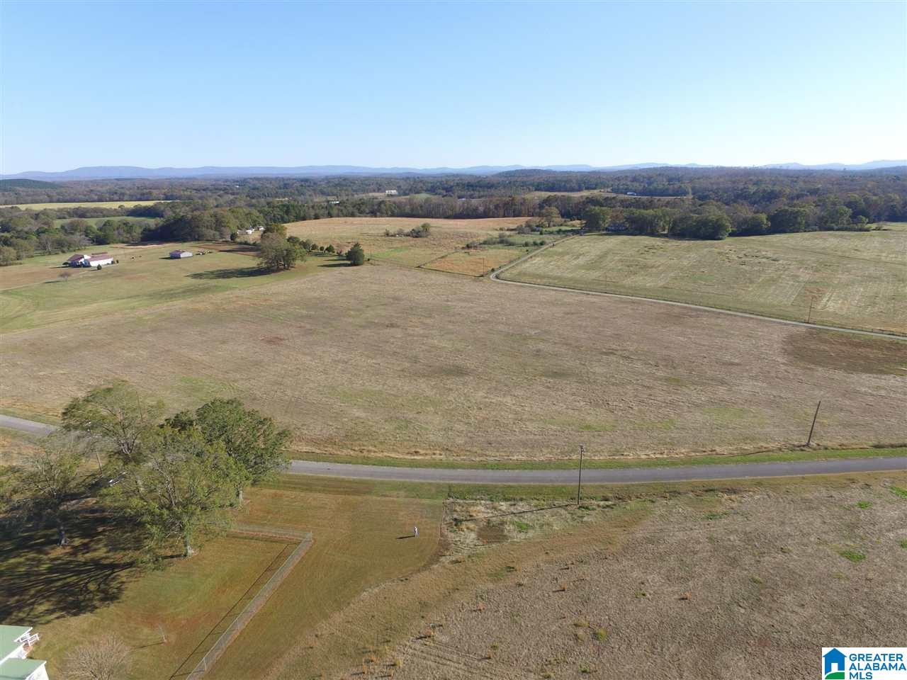 401 Brickstore Road, Unit 14 / Eastaboga, AL 36260 - Photo 4 of 7