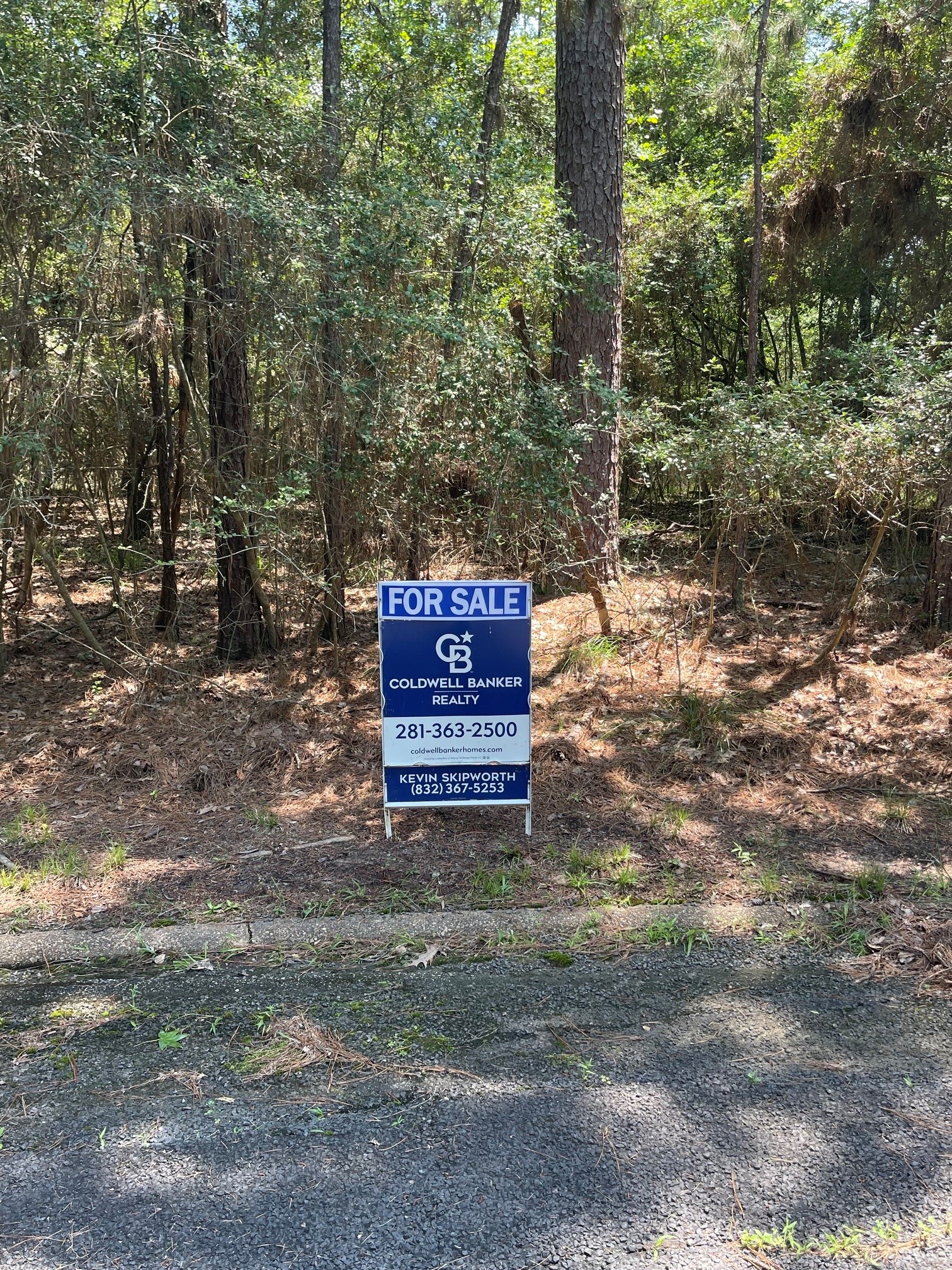 22251-22255 Poland Spring Way Point Blank, TX 77364 - Photo 3 of 5 a sign that is sitting in the middle of forest