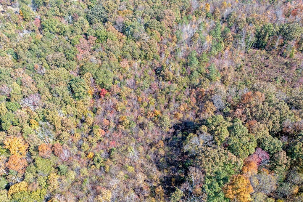 0 Asal Road Farmville, VA 23901 - Photo 32 of 48 Gallery Image 32