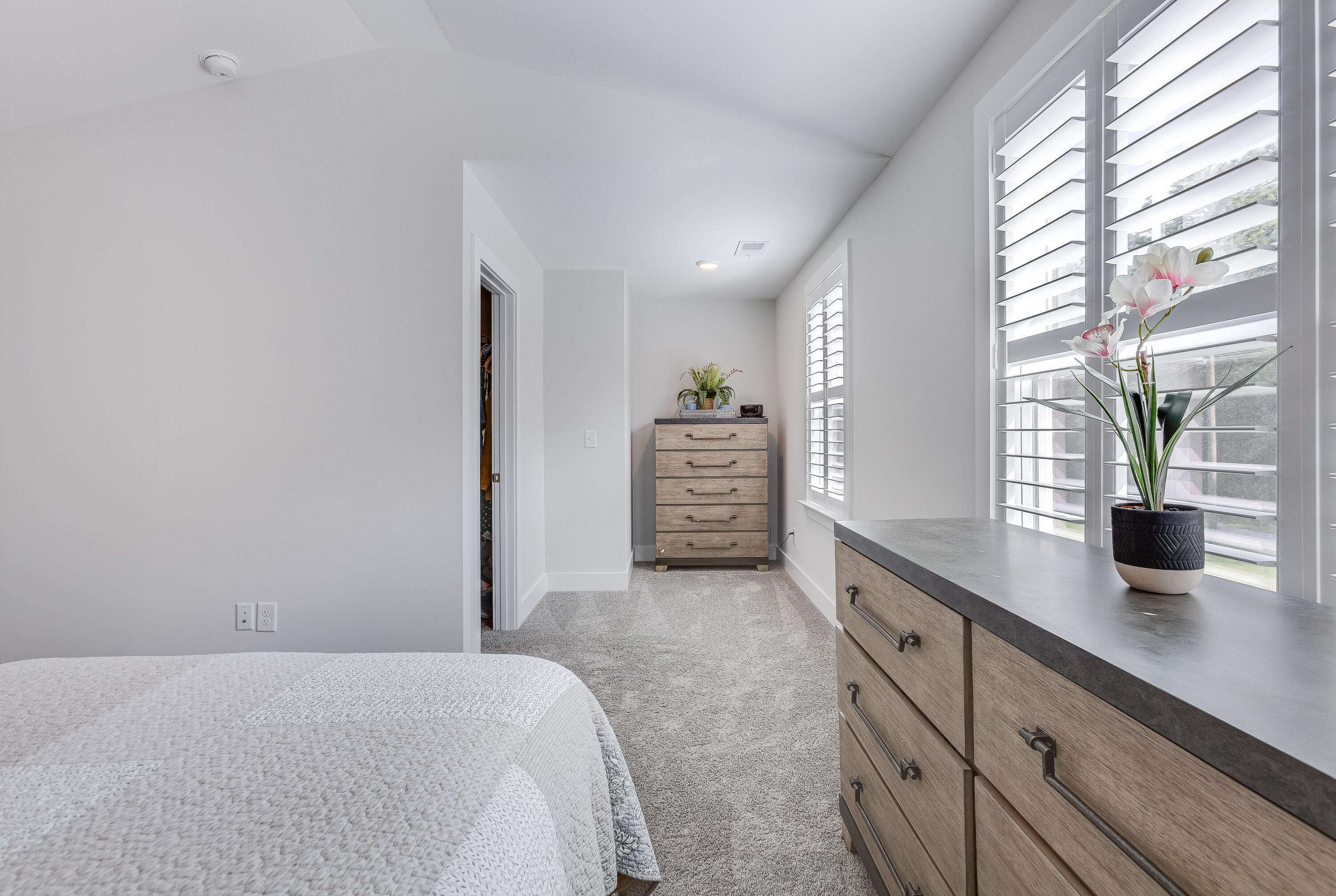 10032 State Rd S-10-1336 McClellanville, SC 29458 - Photo 21 of 36 randall 22