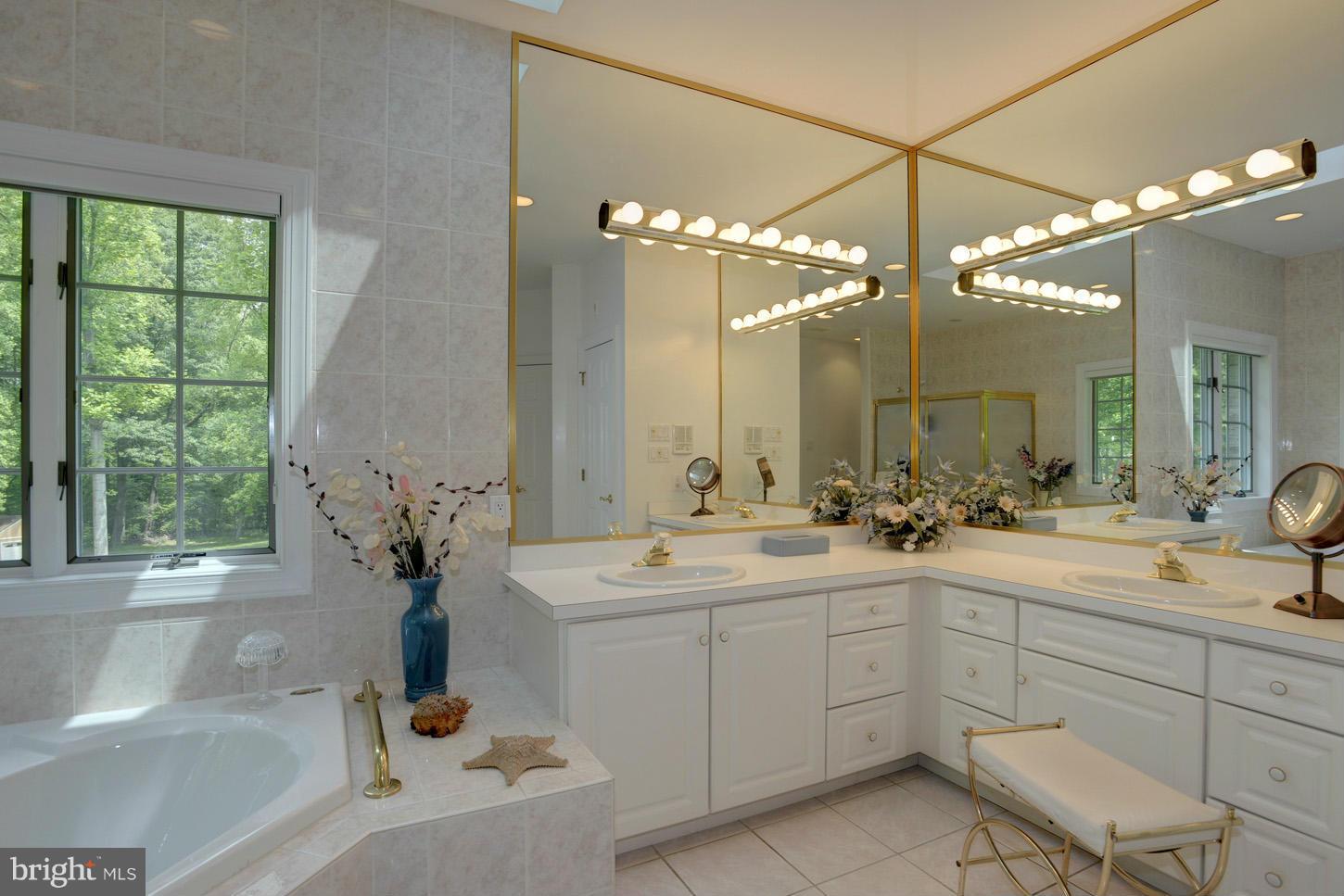 11826 Ivy Mill Road Reisterstown, MD 21136 - Photo 15 of 30 Bath (Master)
