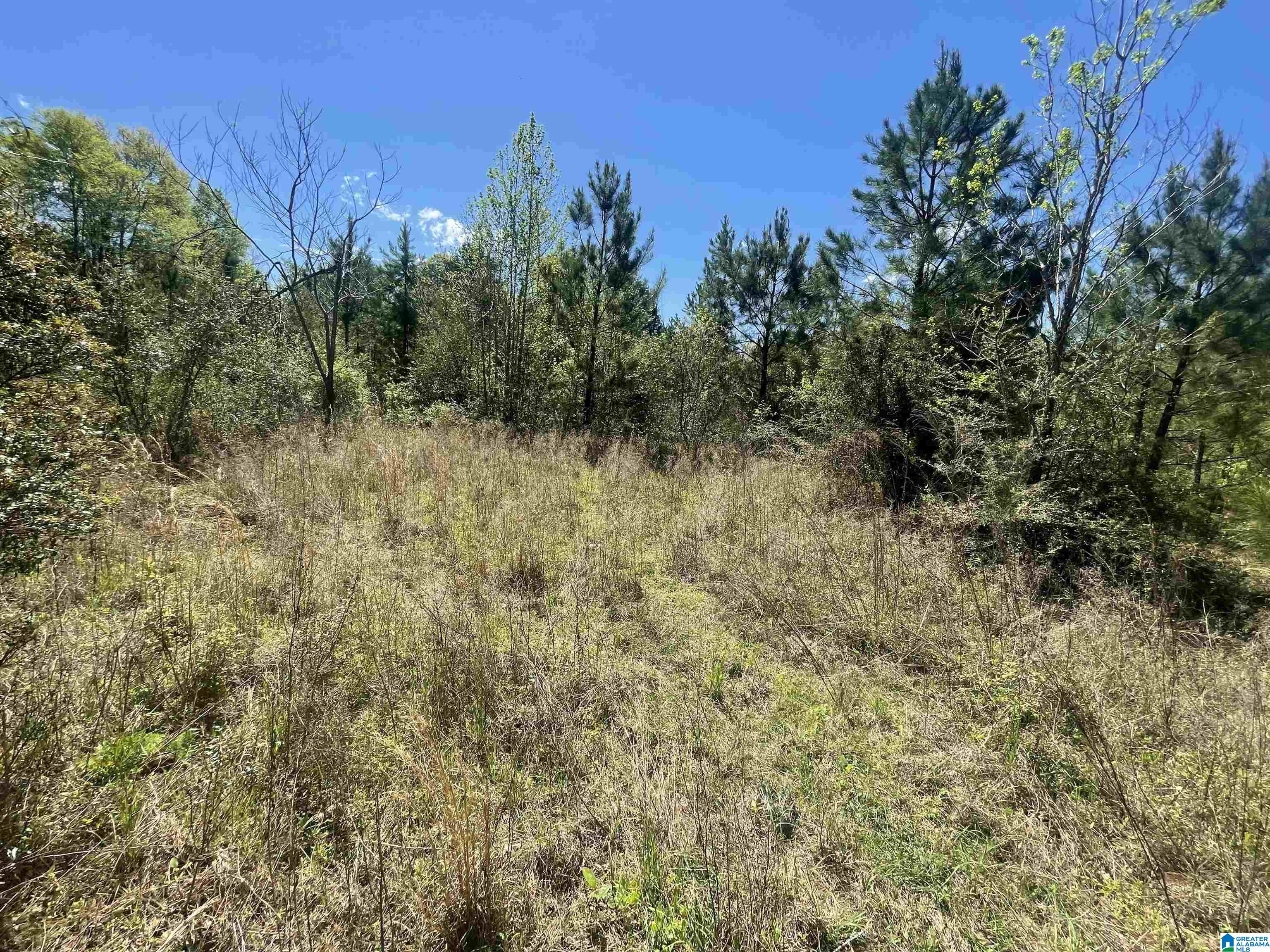 0 Richardson Road Brewton, AL 36426 - Photo 41 of 47