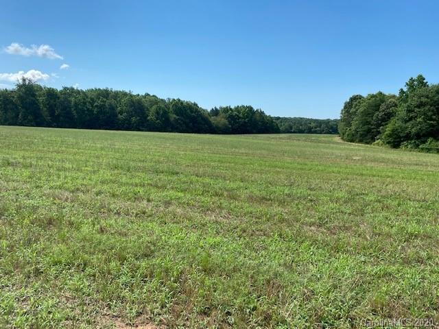 0 Moton Road, Unit LOT #2 Clover, SC 29710 - Photo 7 of 9