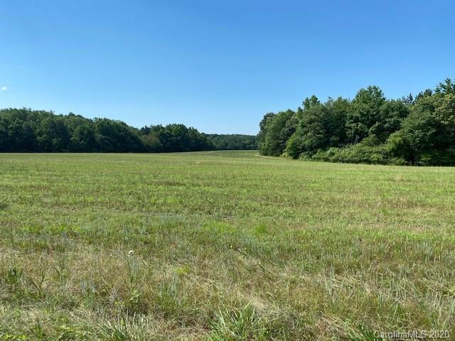 0 Moton Road, Unit LOT #2 Clover, SC 29710 - Photo 8 of 9