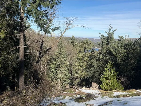 a view of a tree with a yard