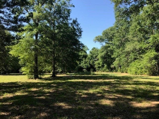 82474 Elvis Taylor Road Bush, LA 70431 - Photo 13 of 16
