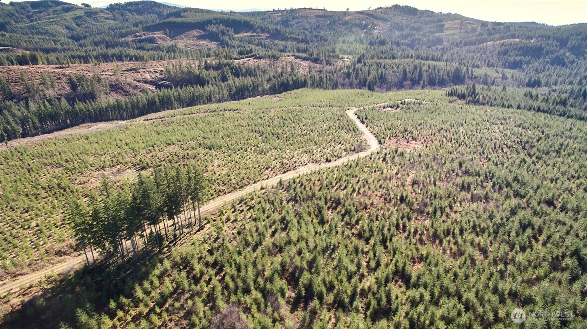 4 Northeast Jones Creek Road Camas, WA 98607 - Photo 22 of 29 a view of a lush green field with mountains in the background