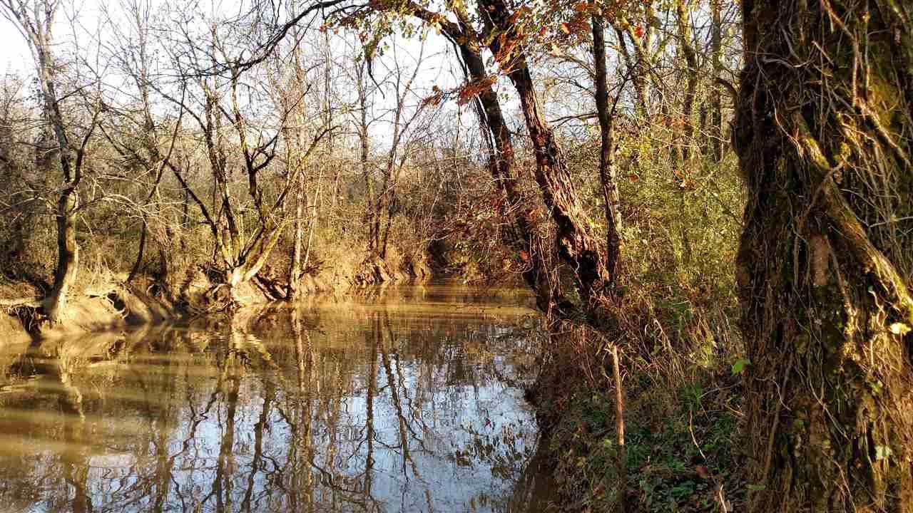 675 Chestuee Road Delano, TN 37325 - Photo 1 of 14 Gallery Image 1