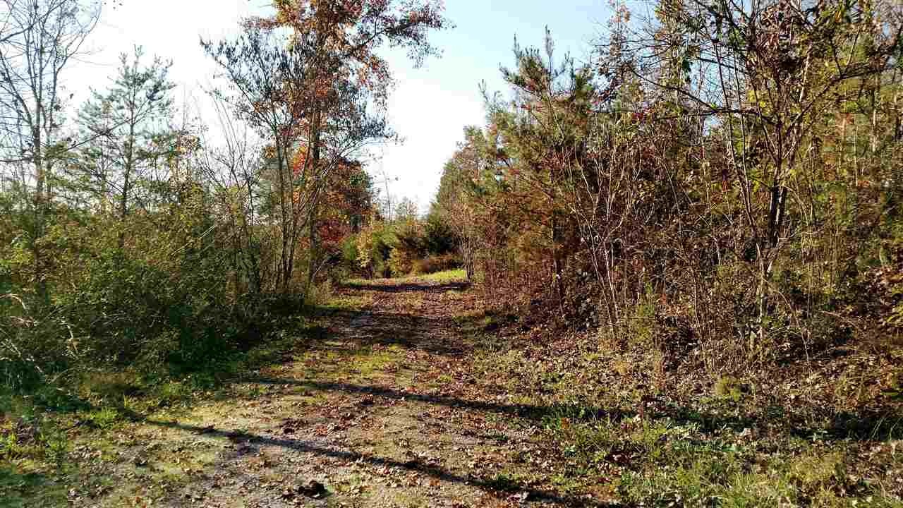675 Chestuee Road Delano, TN 37325 - Photo 2 of 14 Gallery Image 2