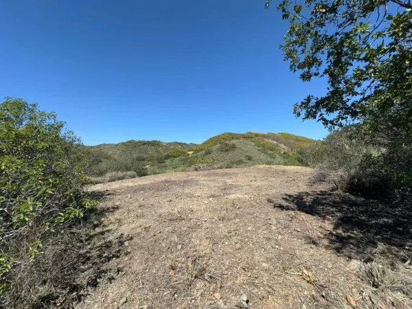 a view of a mountain with a tree in the background