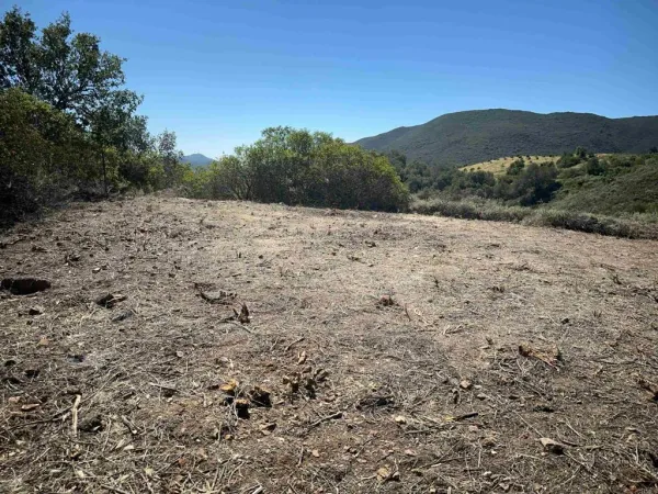 a view of a dry yard with mountains in the background