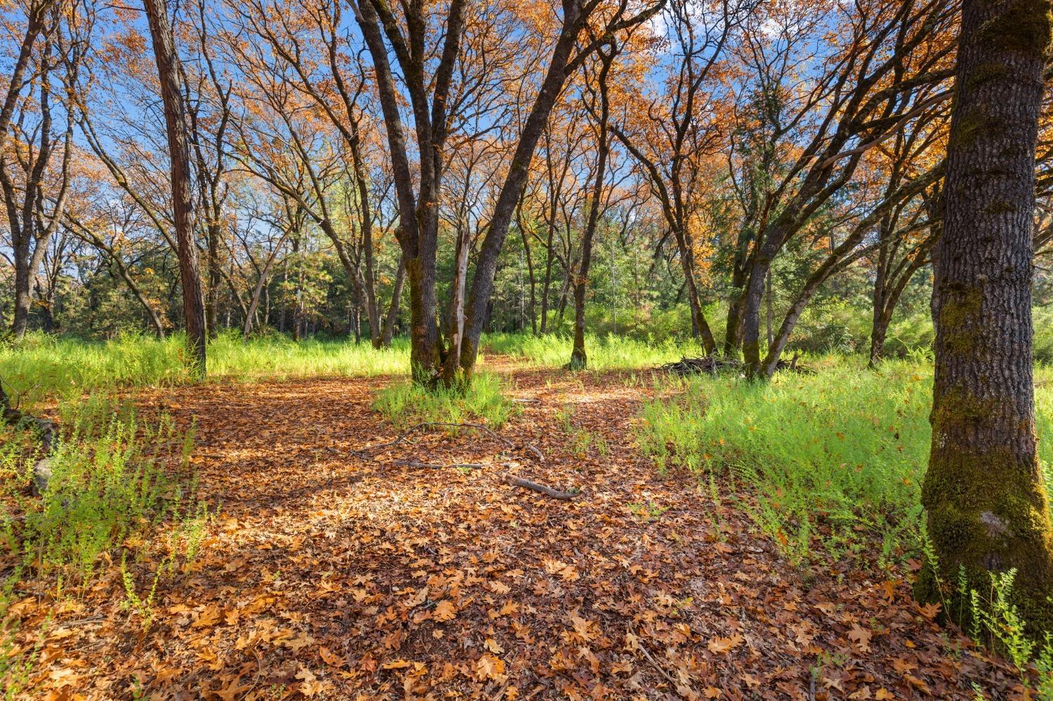 15385 Neils Road Auburn, CA 95603 - Photo 40 of 51