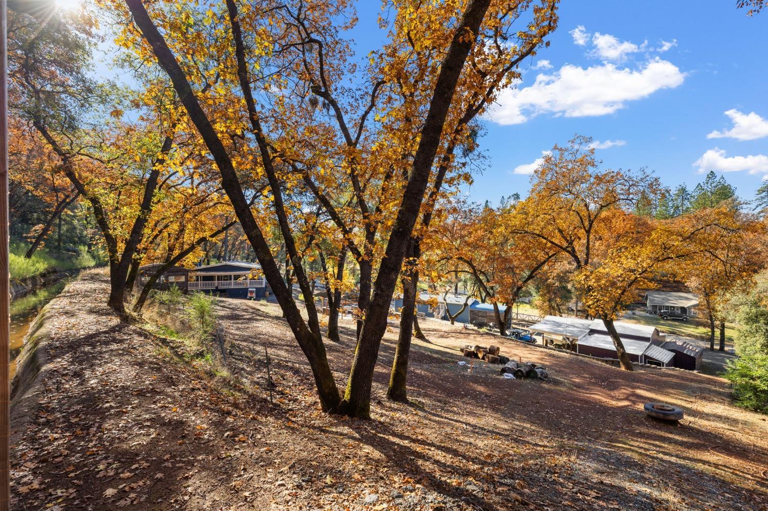 15385 Neils Road Auburn, CA 95603 - Photo 44 of 51