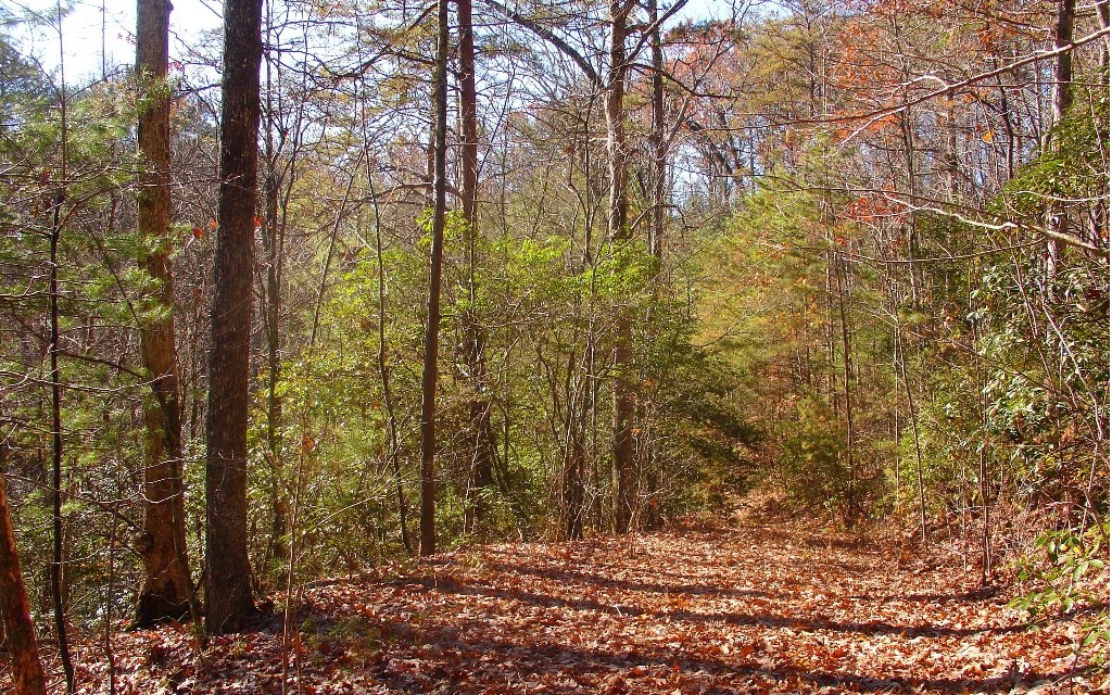 69 Mountain Tops Road Blue Ridge, GA 30513 - Photo 1 of 1 Main View