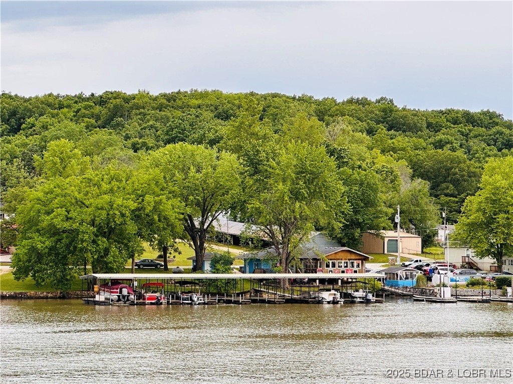 9 Point Plaza Edwards, MO 65326 - Photo 28 of 38 Bottoms Up Bar and Grill Marina across the cove