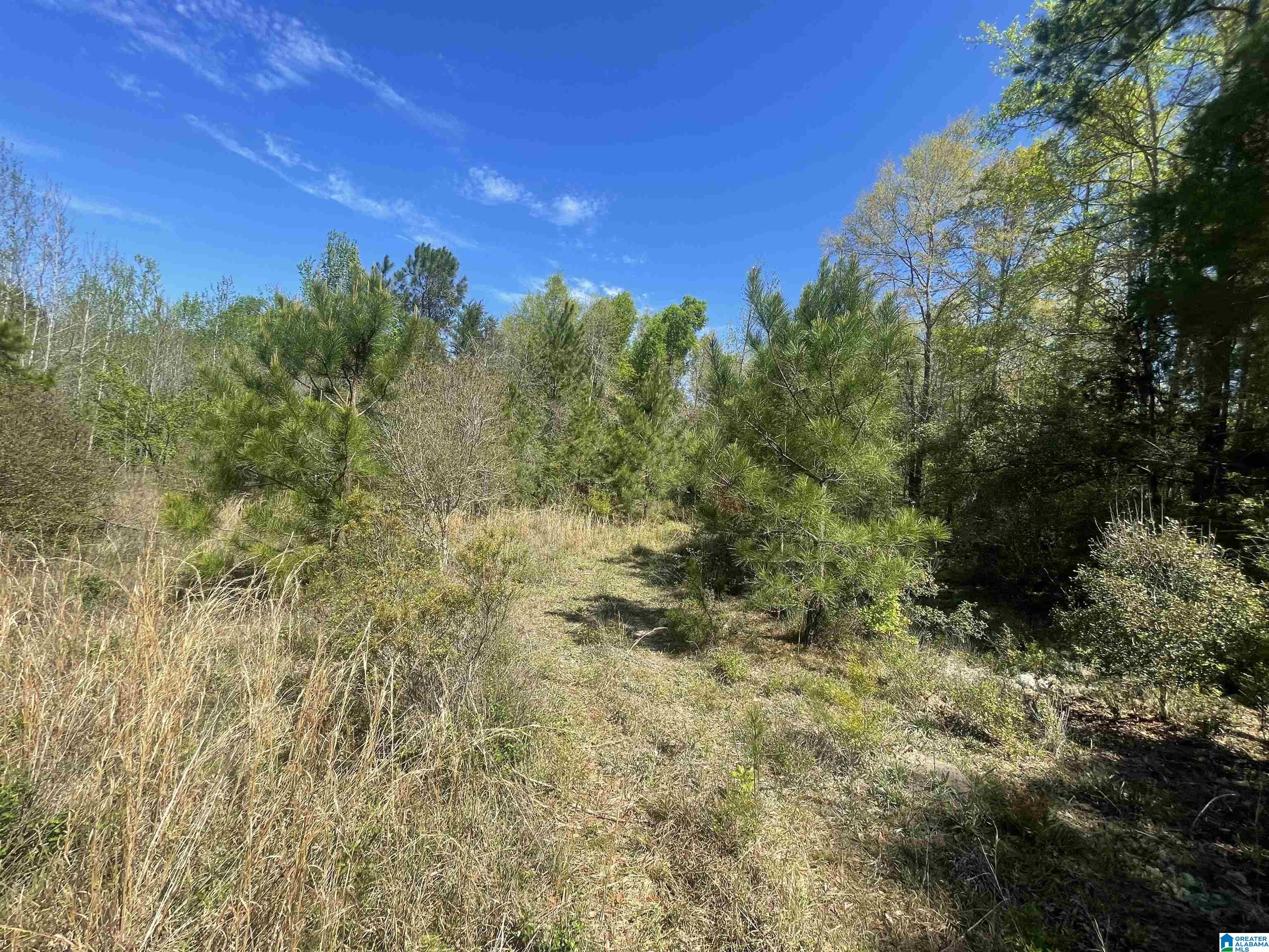 0 Richardson Road Brewton, AL 36426 - Photo 44 of 47