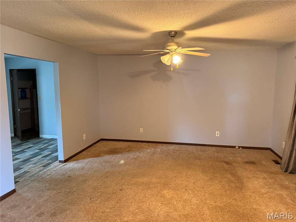 306 Dewolf Street Odin, IL 62870 - Photo 4 of 11