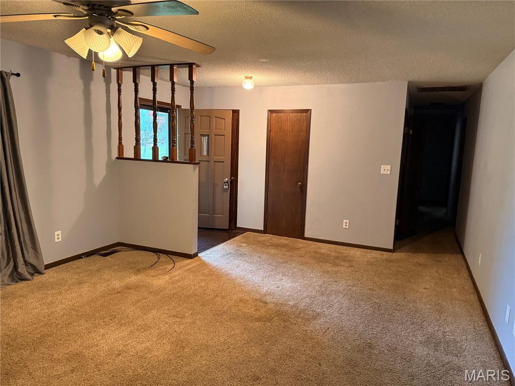 306 Dewolf Street Odin, IL 62870 - Photo 5 of 11