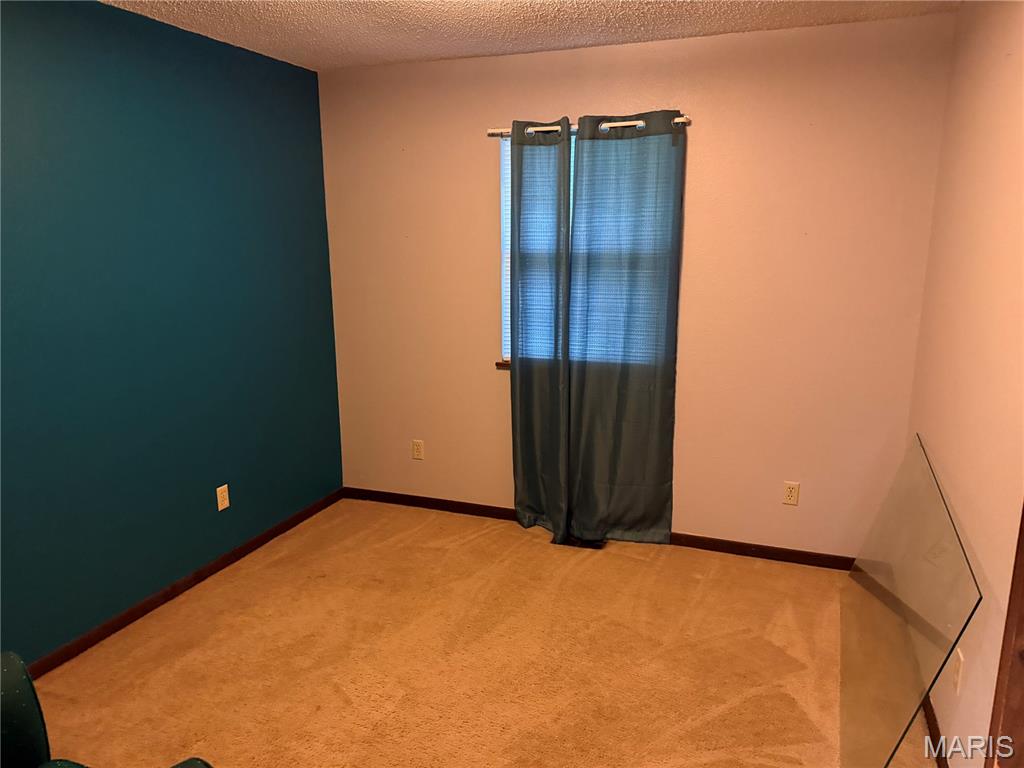 306 Dewolf Street Odin, IL 62870 - Photo 8 of 11