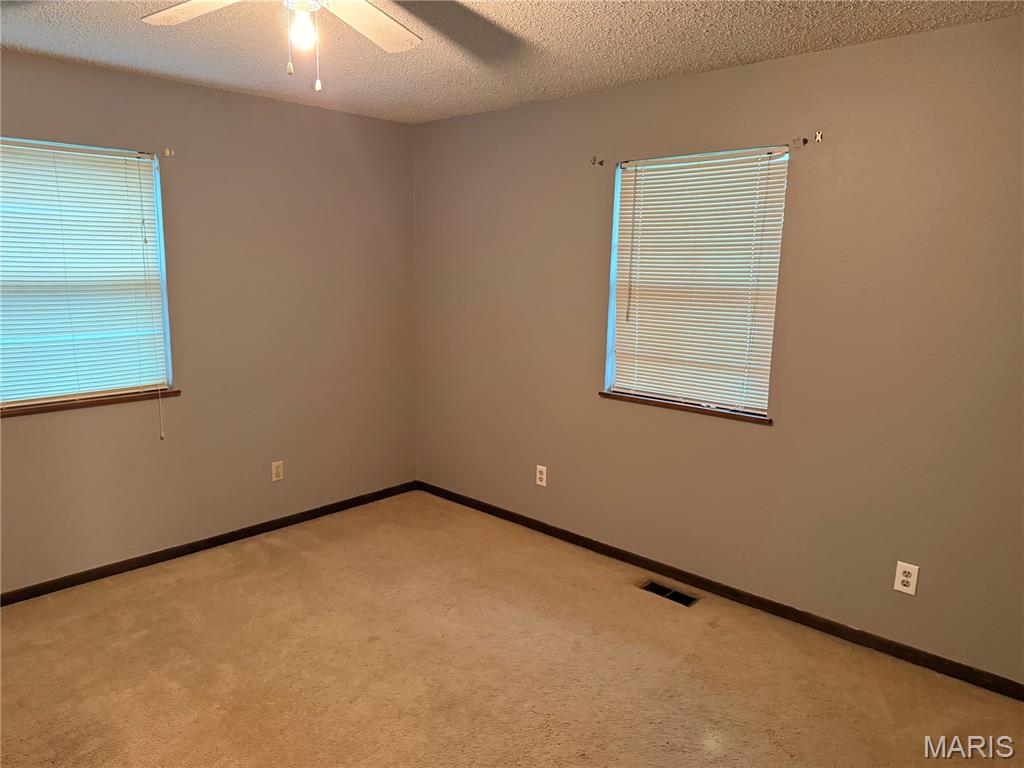 306 Dewolf Street Odin, IL 62870 - Photo 9 of 11