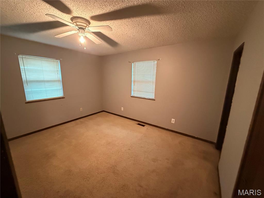 306 Dewolf Street Odin, IL 62870 - Photo 10 of 11