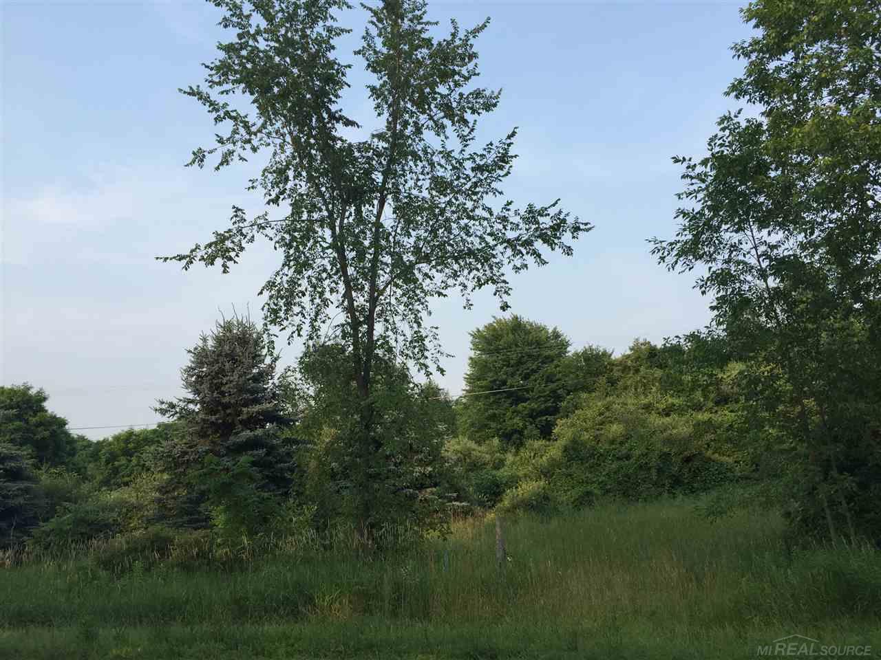 Rochester Road Dryden, MI 48428 - Photo 8 of 11 Gallery Image 8