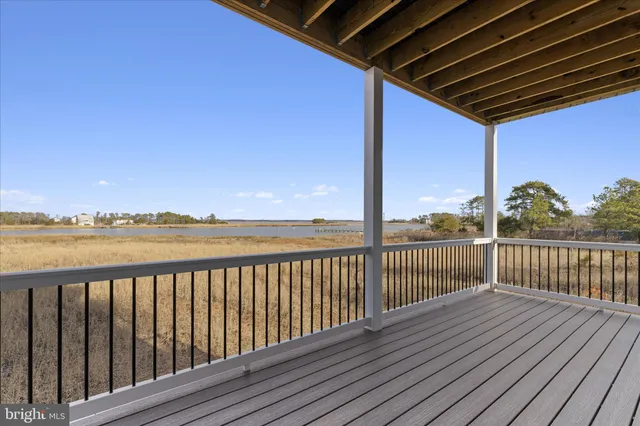 a view of a tree with a park
