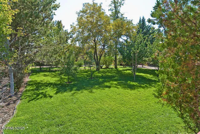 a green field with lots of trees