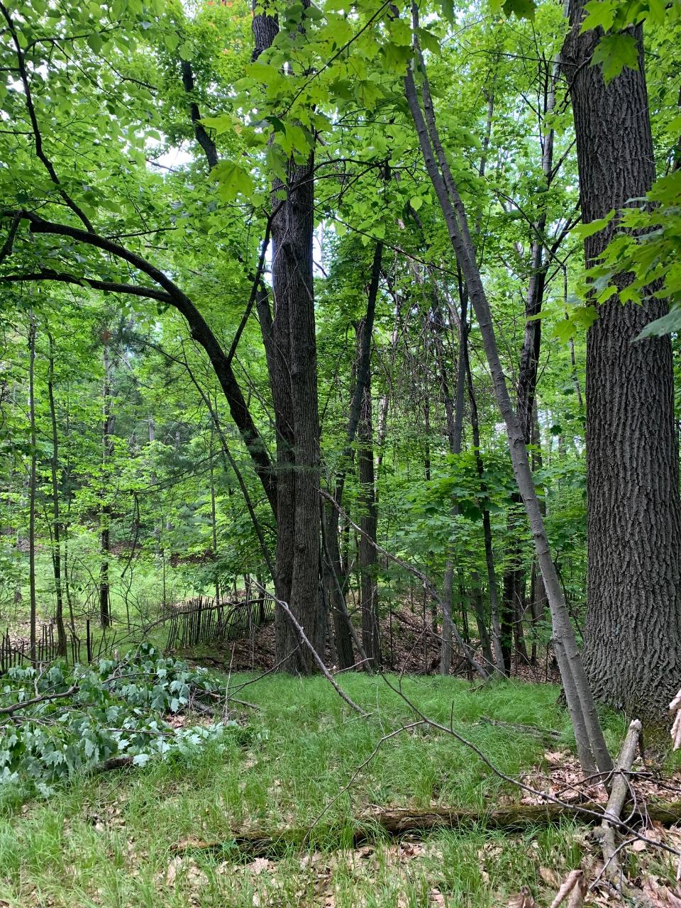 10619 West Rost Lake Road Coleman, WI 54112 - Photo 30 of 35 Gallery Image 30
